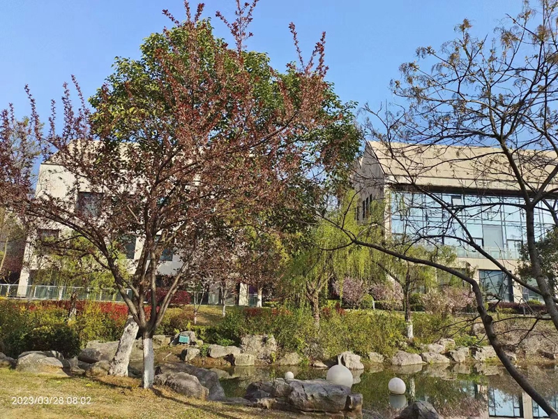 公司外景